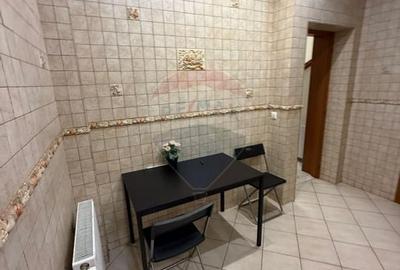 De inchiriat Casa / Vila 7 camere + curte zona Vatra Luminoasa - 33