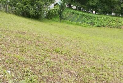 Spațiu comercial, în Hangu - 5