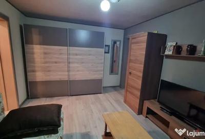 Apartament cu 2 camere semidecomandat, mobilat în Brazda lui Novac - 8