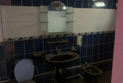Casă cu 5 camere cu Teren 271 Mp în Enachiță Văcărescu - 11