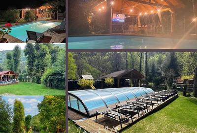 Casa de vacanta ,228 mp utili, piscina exterioara , Baisoara - 5