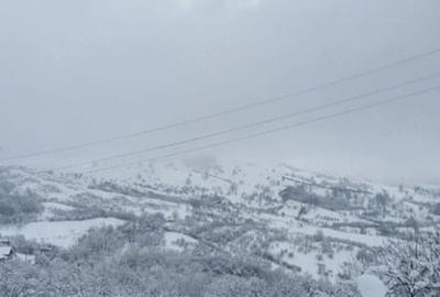 Teren de 5000 mp, în Brăești - 12