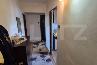 Apartament central, 2 camere, 54 mp, vedere spre Cetatea Devei - 10