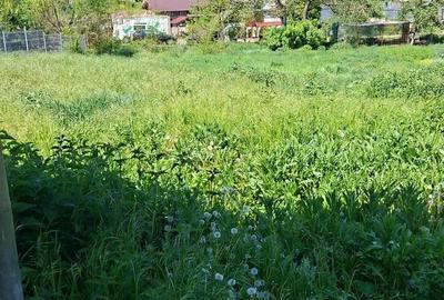 Teren de 1100 mp, în Băbuțiu - 4