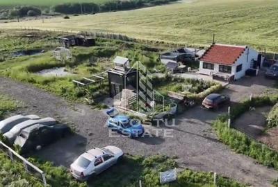Farmhouse la 14km de Timisoara, teren agricol 1ha - 4