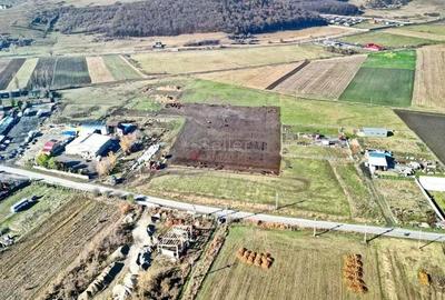 Teren Industrial cu P.U.Z. - 4