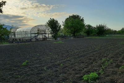 Teren de 4000 mp, în Măgureni - 1