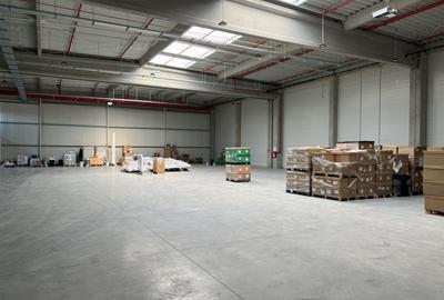 Hala moderna / Productie / Depozitare - 4