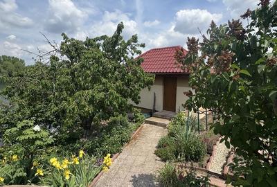 Casă cu Teren 1210 Mp în Mogoșoaia - 2
