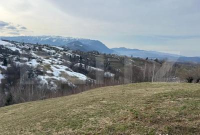 Teren de 7000 mp, în Bran - 2
