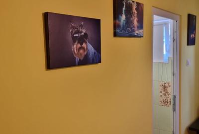 Garsoniera oltenitei sun plazza - 2