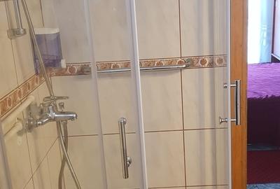 Busteni, ideal azil, hotel - 8