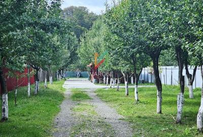 Teren 2000 | Casa | Foisor | Livada | Zizin | Brasov - 1