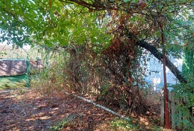 Casă cu 4 camere în Slava Rusă