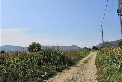 TEREN INTRAVILAN DE VANZARE IN OITUZ JUD. BACAU - 4
