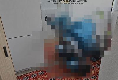 Apartament cu 3 camere în Cetate - 5