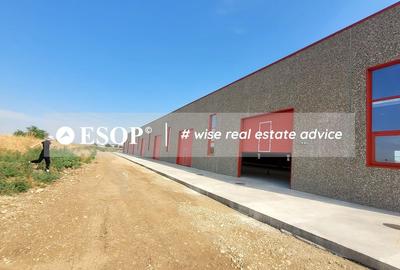 Hale industriale, parc modern, Rudeni, Chitila, Ilfov- ID 15462 Hale industriale, parc modern, Rudeni, Chitila, Ilfov- ID 15462 - 18