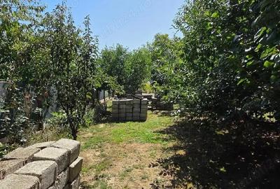 Casă în Păulești - 4