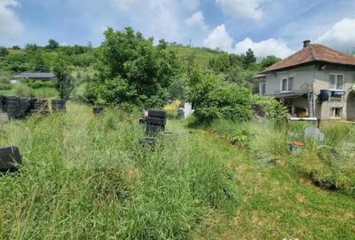 Teren de 14660 mp, în Suceagu - 4