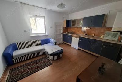 Str. Valea Rosie proprietate compusa din 2 imobile, casa P+M si una pe parter - 2