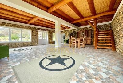 Casa de vacanta/pensiune cu teren de 3780mp | Clisura Dunarii - 13