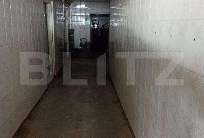 Hala industriala, 5 camere, 895mp, Sangeorgiu de Mures - 7