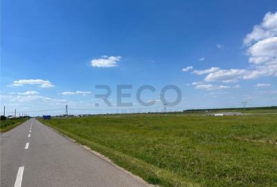 Teren de 10000 mp, în Nojorid - 4