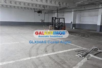 Inchiriem hala industriala 770 mp in Stefanesti - Arges - 8