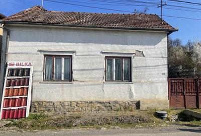 Casă cu 2 camere în Central - 1