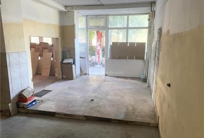 Spatiu Comercial 54 mp - Calea Aradului - Iosia - 2