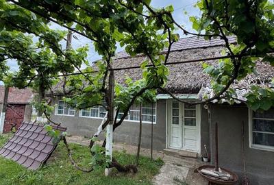 Casă cu 3 camere în Diosig - 3