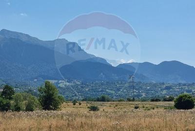 Teren unic de 11,600 mp/Extravilan/Rasnov