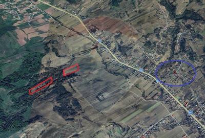 Teren agricol de vanzare Colonesti Bacau - 3