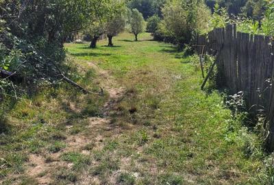 Teren de 1400 mp, în Săvârșin - 3