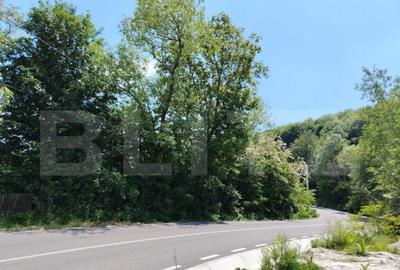 Teren intravilan Pietrosita - 1