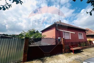 Casă individuală cu 4 camere cu Teren 1672 Mp în Horia - 3