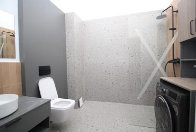 Apartament vila noua Piata Victoriei, prima inchiriere - 3