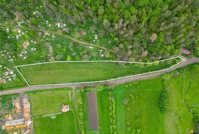 FILM! Teren intravilan, 6.500 mp, Papauti, Covasna - 5