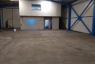 Hala 390 mp c.2023 Popesti Leordeni ( Danubiana ) - 2