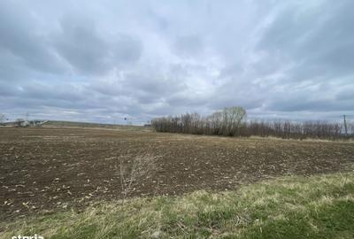 Spațiu comercial, în Central - 6