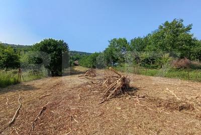Casă cu 2 camere cu Teren 3350 Mp în Aghireș - 6