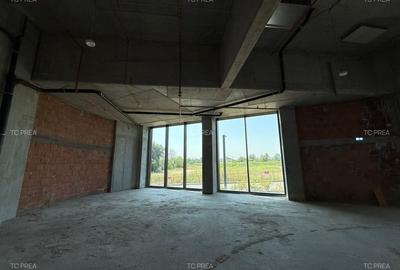 Spatiu comercial parter herestrau verdi - 11