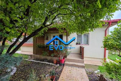 Casa de inchiriat, 2 dormitoare , curte 500 mp , Uricani-Mir - 4