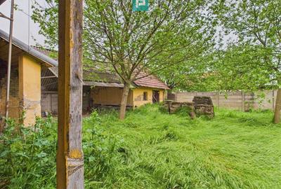 Casă cu 3 camere cu Teren 1547 Mp în Variaș - 3