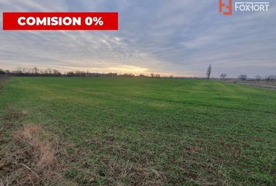 Teren agricol extravilan de 213257 mp, în Sud - 5