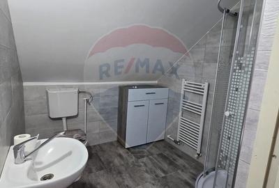 Casă individuală cu 6 camere cu Garaj în Mișca - 21
