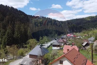 Teren de 1349 mp, în Tolstoi