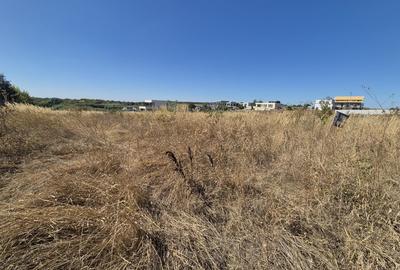 Teren Construcții intravilan de 2500 mp, în Izvorani - 12