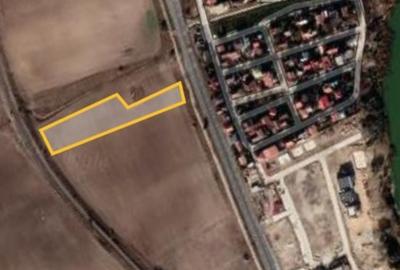 Teren de 5000 mp, în Sud - 6