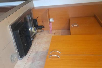 Apartament cu 3 camere decomandat în Ostroveni - 1
